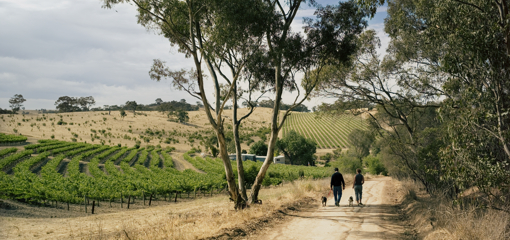 Savour Australia 2013