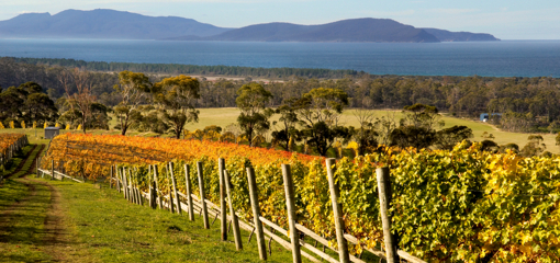 Tasmania Image 1 resize