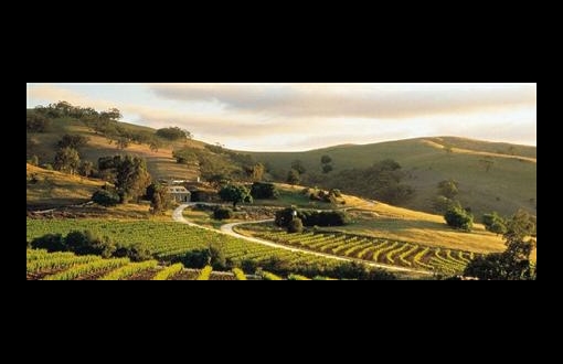 Bethany Wines