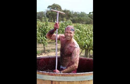 Gemtree Vineyards