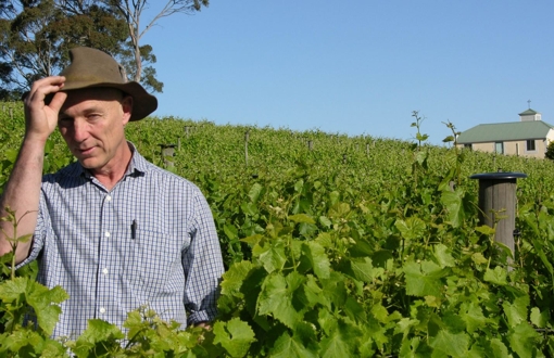 Hahndorf Hill Winery