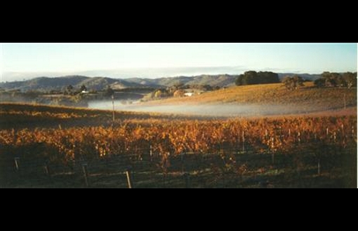 Paracombe Wines