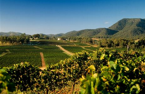 Tyrrell's Wines