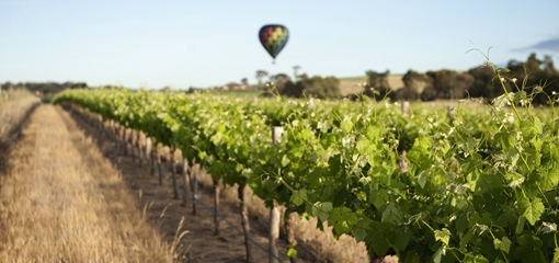 SATC Savour Australia