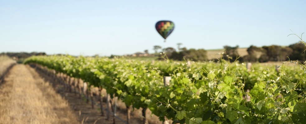 Savour Australia 2013 SATC